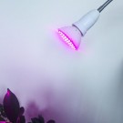 BASIC LED lampa na všetky rastliny, E27, 6W, fialová